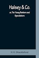 Halsey & Co.; or, The Young Bankers and Speculators