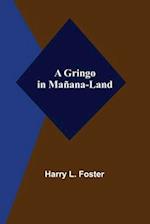 A Gringo in Mañana-Land 