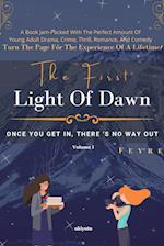 The First Light of Dawn - I 