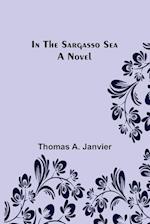 In the Sargasso Sea A Novel 