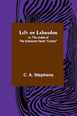 Left on Labrador; or, The cruise of the Schooner-yacht "Curlew"