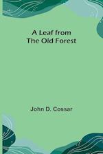 A Leaf from the Old Forest 