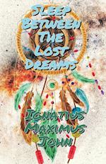 Sleep Between The Lost Dreams 