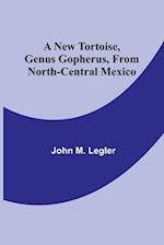 A New Tortoise, Genus Gopherus, From North-central Mexico 