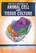 Encyclopaedia Of Animal Cell And Tissue Culture