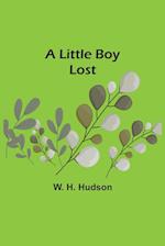 A Little Boy Lost 