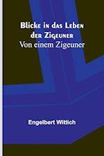 Blicke in das Leben der Zigeuner; Von einem Zigeuner