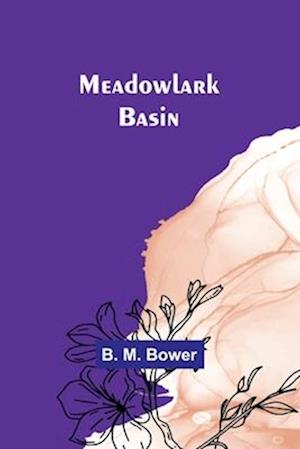 Meadowlark Basin