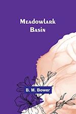 Meadowlark Basin 