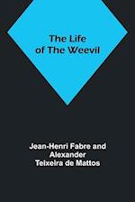 The Life of the Weevil 