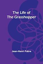 The Life of the Grasshopper 