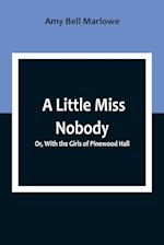 A Little Miss Nobody; Or, With the Girls of Pinewood Hall 