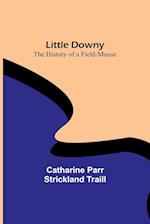 Little Downy