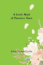 A Little Maid of Province Town 