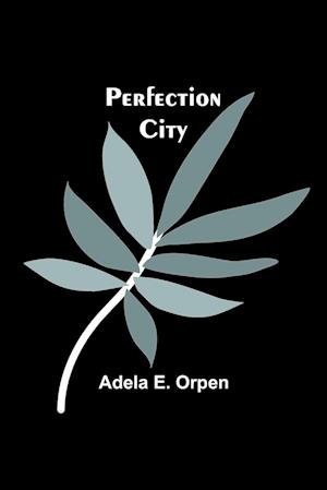 Perfection City