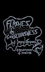 Flashes of Consciousness 