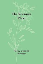 The sensitive plant 