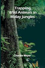 Trapping wild animals in Malay jungles