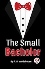 The Small Bachelor 