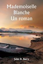 Mademoiselle Blanche Un roman