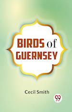 Birds Of Guernsey