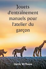 Jouets d'entraînement manuels pour l'atelier du garçon