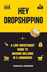 Hey Dropshipping