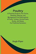 Poultry; A Practical Guide to the Choice, Breeding, Rearing, and Management of all Descriptions of Fowls, Turkeys, Guinea-fowls, Ducks, and Geese, for Profit and Exhibition.