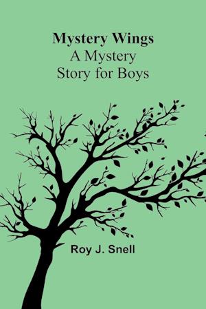 Mystery Wings; A Mystery Story for Boys