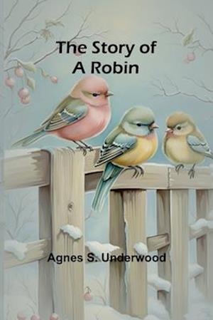 The Story of a Robin