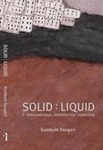 Solid:Liquid – a (trans)national reproductive formation