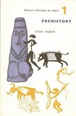 A People's History of India 1 – Prehistory