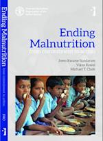 Ending Malnutrition – From Commitment to Action