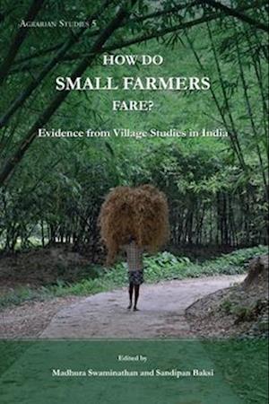 How Do Small Farmers Fare? – Evidence from Village Studies in India