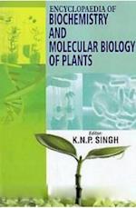 Encyclopaedia Of Biochemistry And Molecular Biology Of Plants