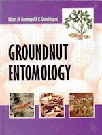 Groundnut Entomology
