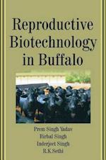 Reproductive Biotechnology in Buffalo