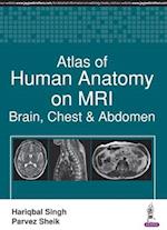Atlas of Human Anatomy on MRI