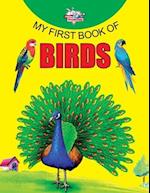 My First Book of Birds 