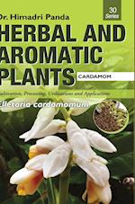 HERBAL AND AROMATIC PLANTS - 30. Elletaria cardamomum (Cardamom) 