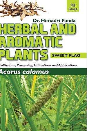 HERBAL AND AROMATIC PLANTS - 34. Acorus calamus (Sweet Flag)