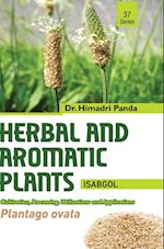 HERBAL AND AROMATIC PLANTS - 37. Plantago ovata (Isabgol)