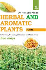 HERBAL AND AROMATIC PLANTS - 39. Zea mays (Maize)