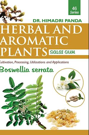 HERBAL AND AROMATIC PLANTS - 46. Boswellia serrata (Salai Gum)