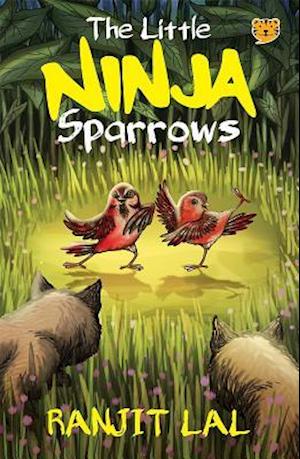Little Ninja Sparrows