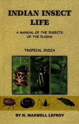 Indian Insect Life