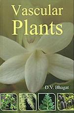 Vascular Plants