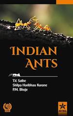 Indian Ants 