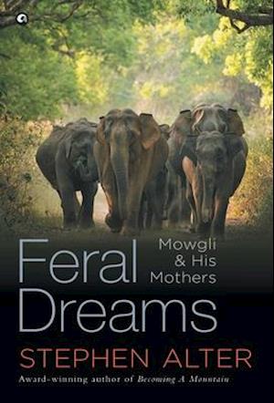 FERAL DREAMS :