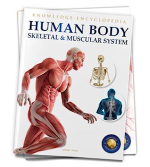 Human Body